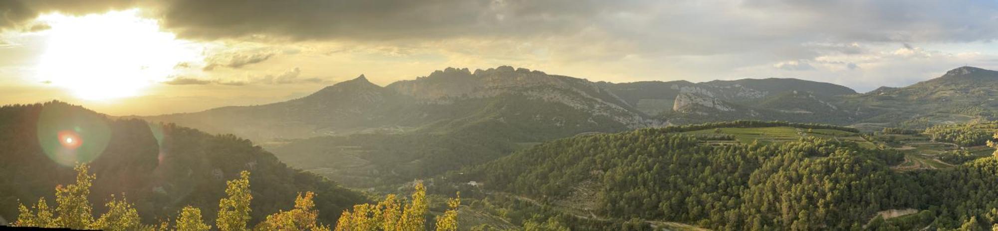 Le Chant Des Cigales LʼIsle-sur-la-Sorgue Extérieur photo